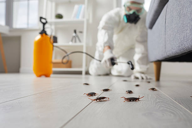Post-Treatment Bed Bug Interceptor Monitoring in Loudon