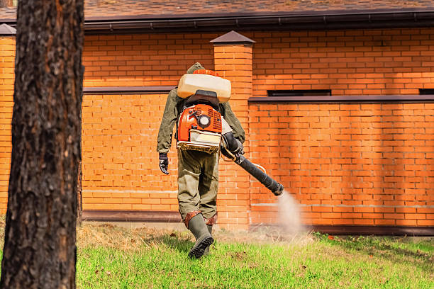 Bed Bug Clearance Verification and Documentation in Loudon